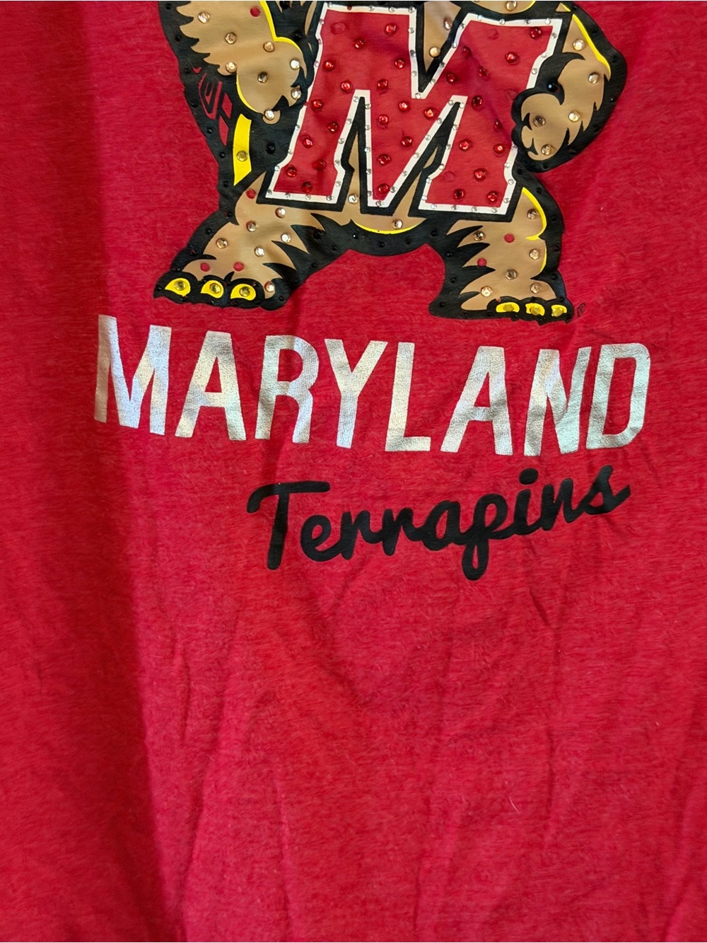 Campus Heritage Red T-Shirt with White Printed Label - Picture 3 of 6